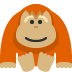 orangutan